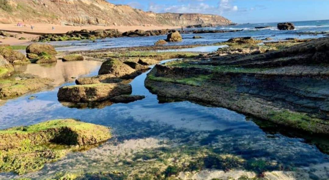 Casa Do Portao Azul - Dourada Lägenhet Atouguia Da Baleia Exteriör bild